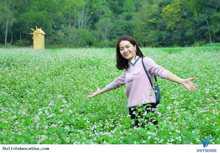 Giá vé vào cửa thung lũng hoa Cát Bà là bao nhiêu? - Ảnh 7