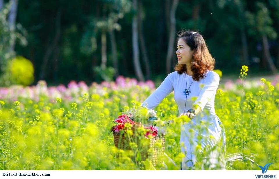 Giá vé vào cửa thung lũng hoa Cát Bà là bao nhiêu? - Ảnh 6