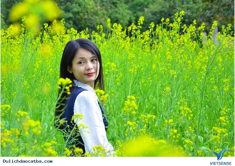 Giá vé vào cửa thung lũng hoa Cát Bà là bao nhiêu? - Ảnh 4