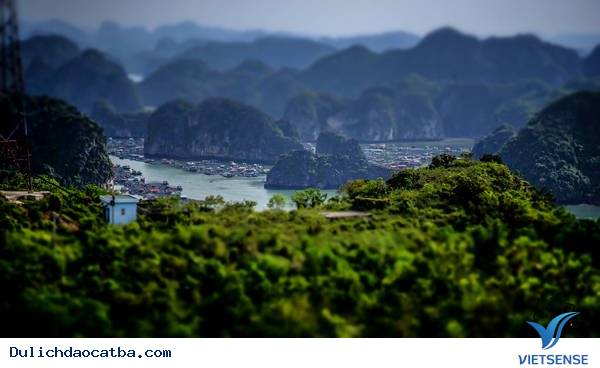 Vịnh Lan Hạ Vịnh Lan Hạ