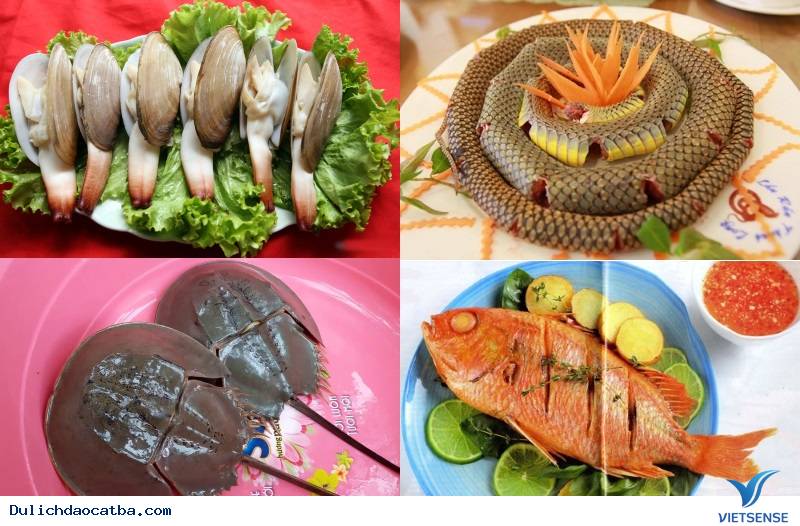 Đi Cát Bà thì ăn gì? Ẩm thực đặc sản Cát Bà Đi Cát Bà thì ăn gì? Ẩm thực đặc sản Cát Bà