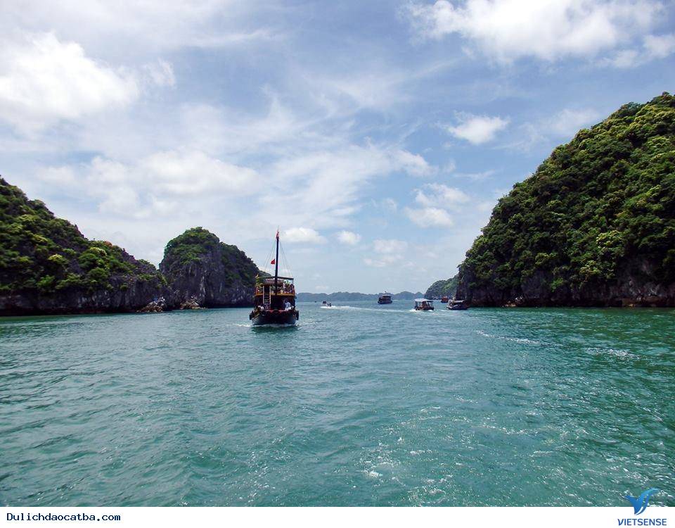 Vẻ Đẹp Hoang Sơ Của Vịnh Lan Hạ Trên Biển Cát Bà - Ảnh 3