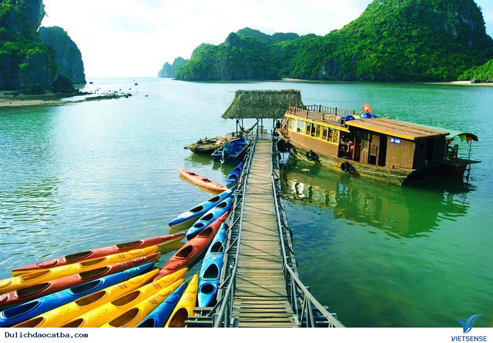 Vẻ Đẹp Hoang Sơ Của Vịnh Lan Hạ Trên Biển Cát Bà - Ảnh 8