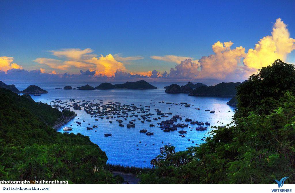 Vẻ Đẹp Hoang Sơ Của Vịnh Lan Hạ Trên Biển Cát Bà - Ảnh 1