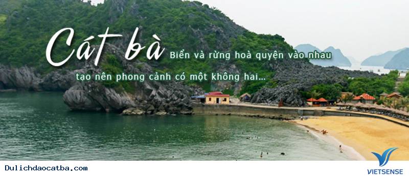 Lặn biển ngắm san hô